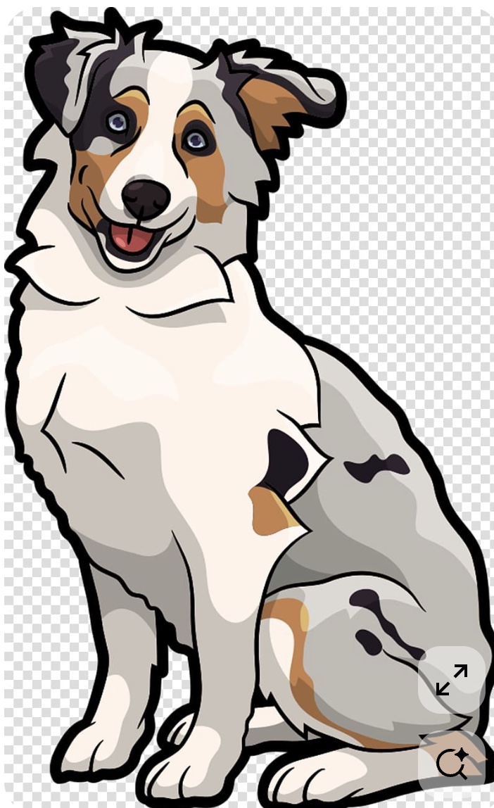 Illustration of a friendly Australian shepherd sitting.
